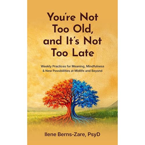 You're Not Too Old, and It's Not Too Late by Ilene Berns-Zare