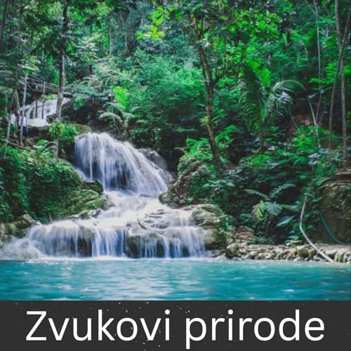 Zvukovi prirode by International Ambient Sounds
