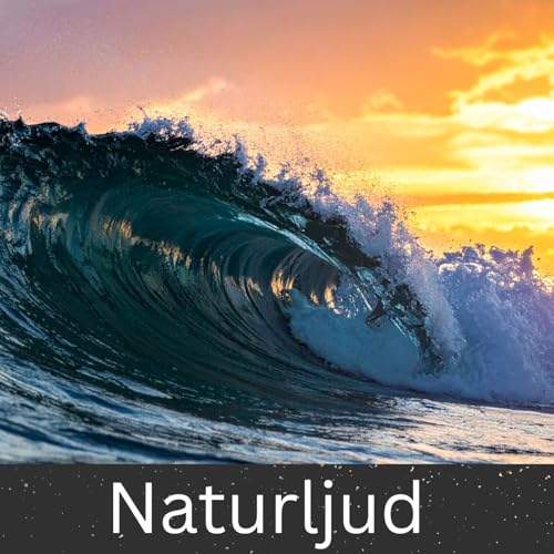 Naturljud by International Ambient Sounds