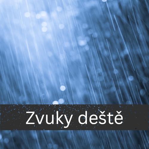 Zvuky deště by International Ambient Sounds