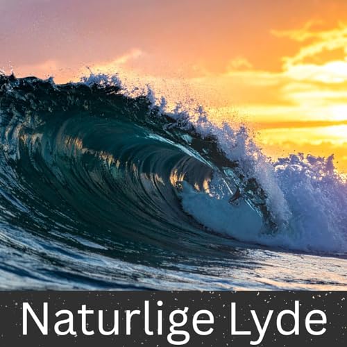 Naturlige Lyde by International Ambient Sounds