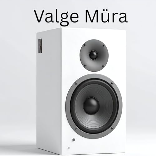 Valge Müra by International Ambient Sounds