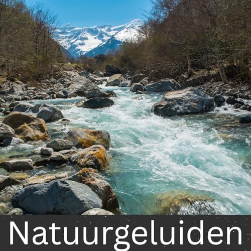 Natuurgeluiden by International Ambient Sounds
