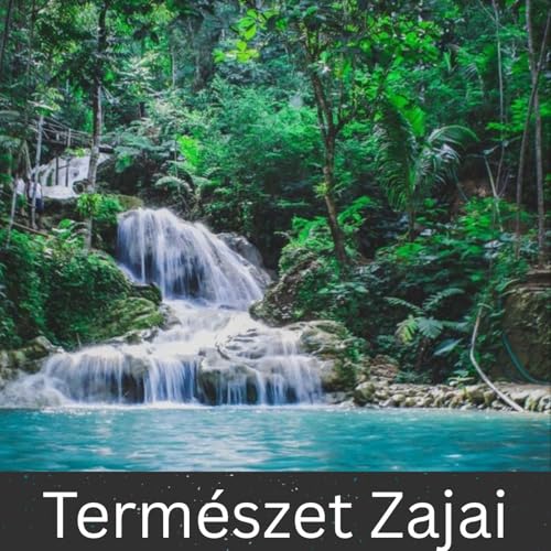 Természet Zajai by International Ambient Sounds