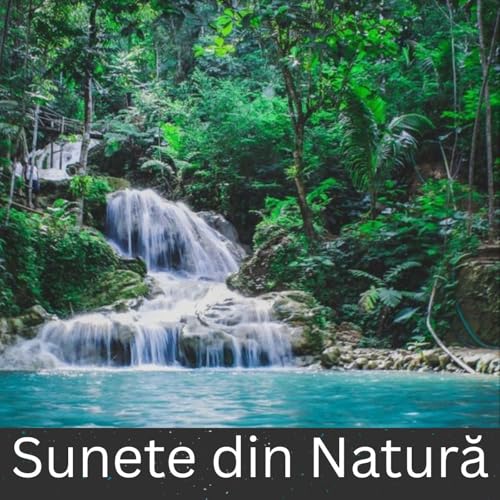 Sunete din Natură by International Ambient Sounds