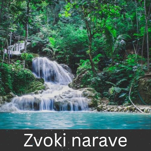 Zvoki narave by International Ambient Sounds