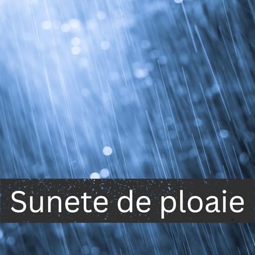 Sunete de ploaie by International Ambient Sounds