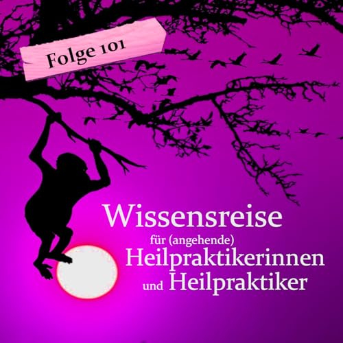 Leber-Pathologie: Fettlebererkrankung (Folge 101) by Unknown