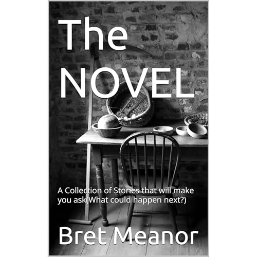 The NOVEL by Bret Meanor Meanor