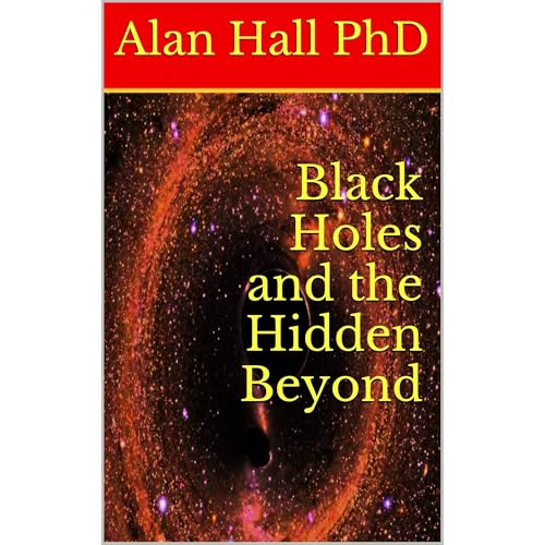 Black Holes and the Hidden Beyond