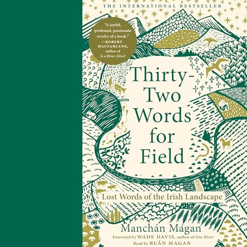 Thirty-Two Words for Field by Manchán Magan