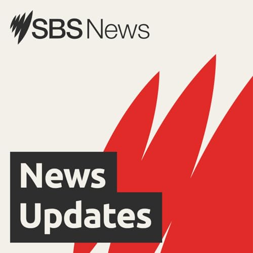 Angus Taylor challenges Sussan Ley for leadership of Liberal Party | Midday News Bulletin 12 February 2026 by Unknown