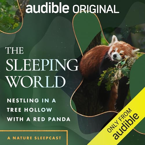The Sleeping World: Nestling in a Tree Hollow with a Red Panda