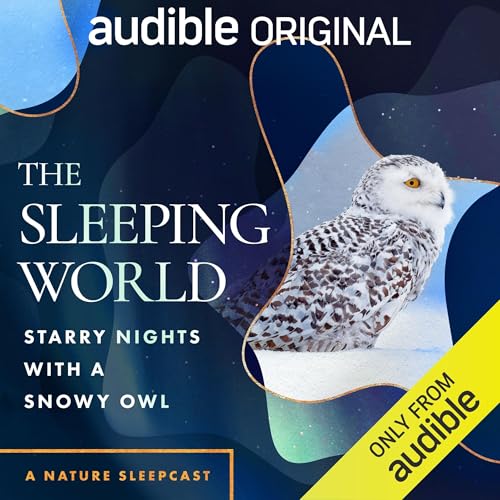 The Sleeping World: Starry Nights with a Snowy Owl