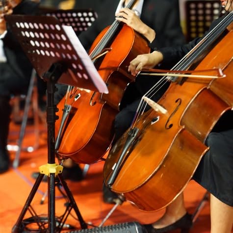 Northern Michigan teens set to perform with Detroit Symphony Orchestra