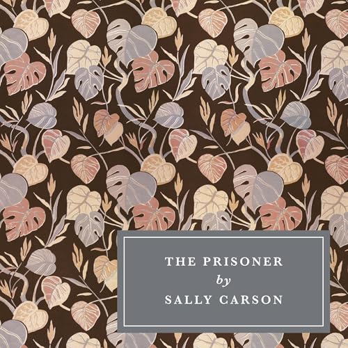 The Prisoner by Sally Carson