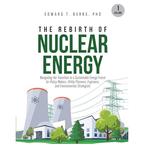 The Rebirth of Nuclear Energy