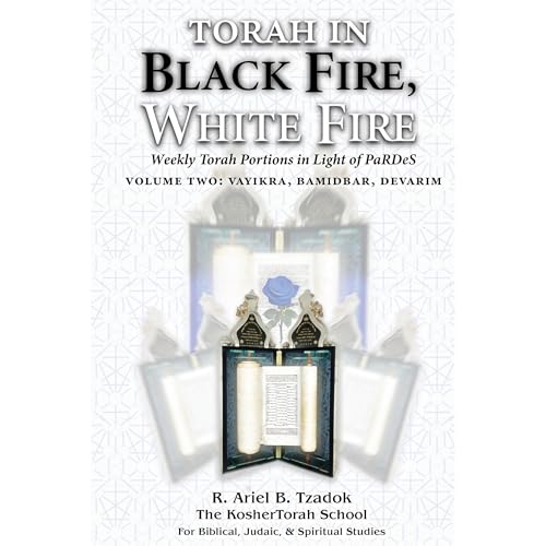 Torah in Black Fire, White Fire by Ariel Tzadok