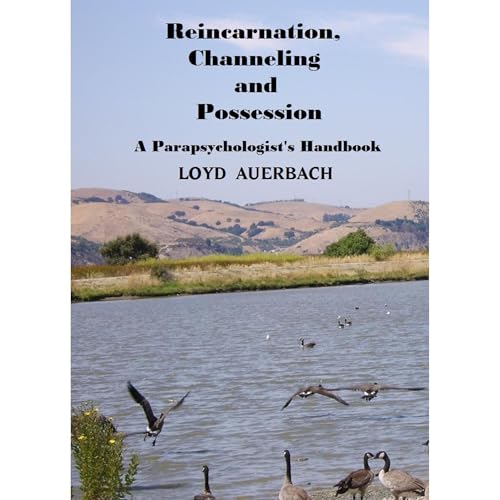REINCARNATION, CHANNELING AND POSSESSION by Loyd Auerbach