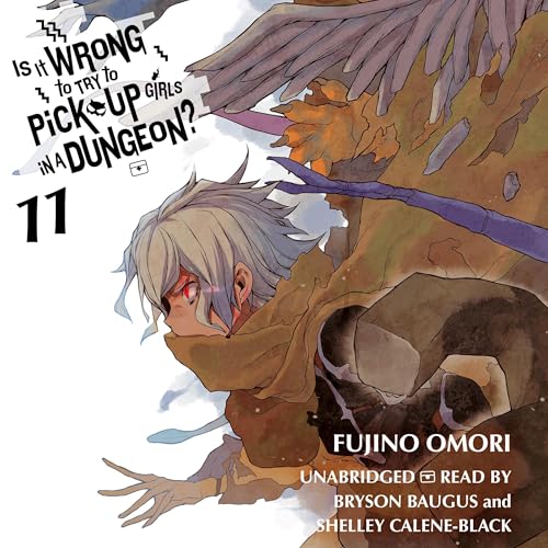 Is It Wrong to Try to Pick Up Girls in a Dungeon?, Vol. 11 (light novel)