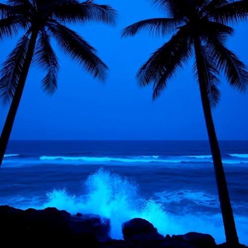 1 Hours of Zen Garden Ambience | Koi pond Nature Sounds for Deep Sleep, Meditation & Relaxation by Unknown