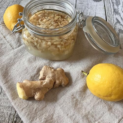 S6 E22: Fermentation Experiment - Making a Ginger Bug by Unknown