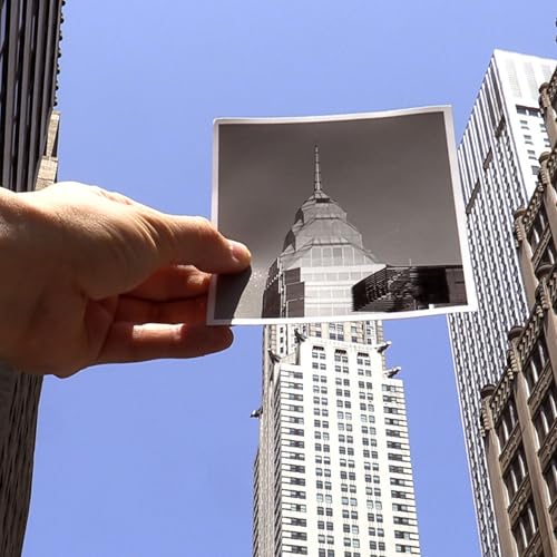 The 82nd Whitney Biennial Surveys Contemporary American Art by Unknown