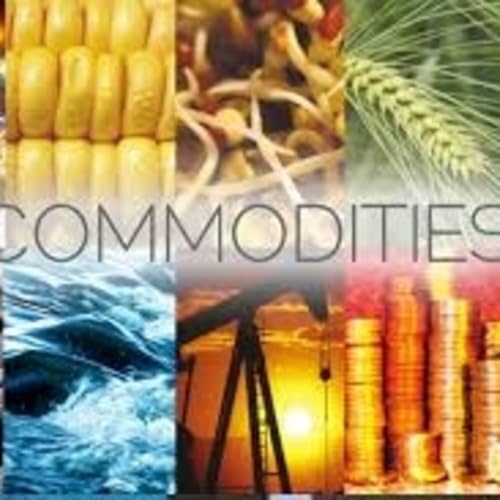 ¿Cómo invertir con poco?/ ¿Qué es un commodity? by Unknown