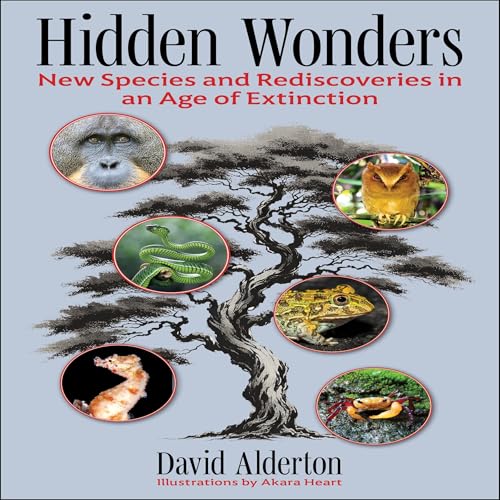 Hidden Wonders by David Alderton