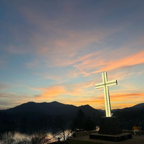 Immortality is Yours! by Unknown