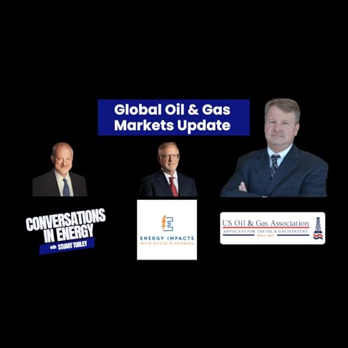 Navigating the Energy Crisis Insights from the US Oil and Gas Association President by Unknown