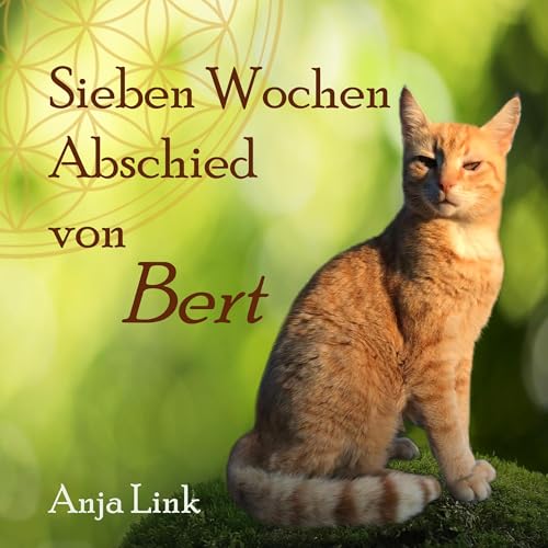 Sieben Wochen Abschied von Bert by Anja Link