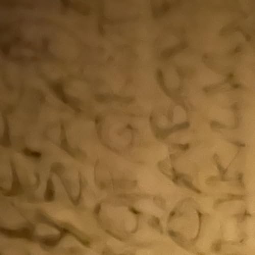 Reiki, conspiraciones y homeopatía: ¿por qué tu cerebro cae en la trampa? by Unknown