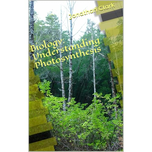 Biology: Understanding Photosynthesis