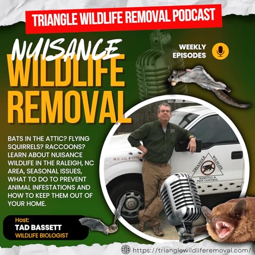 Triangle Wildlife Removal Podcast by Tad Bassett