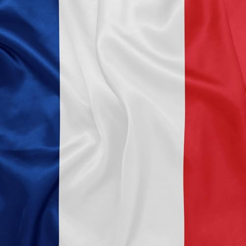 France is Ireland’s biggest EU Trading partner these days by Unknown