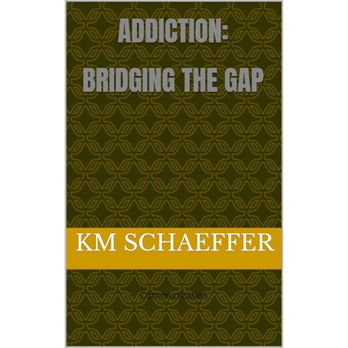 Addiction: Bridging the Gap by KM Schaeffer