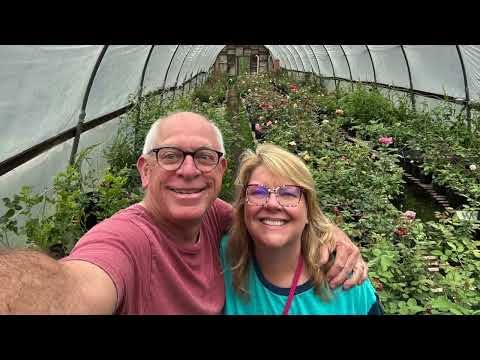 Podcast Episodes by Paul Zimmerman Roses