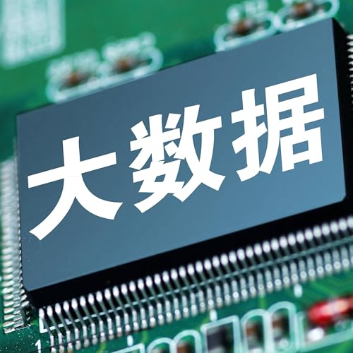 World Data Organization established in Beijing by Unknown