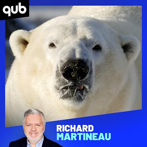 Contrairement à Michael Rousseau, l’ours polaire Yellé préfère avoir un interprète… français by Unknown