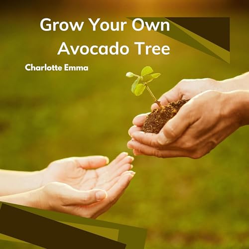 Grow Your Own Avocado Tree
