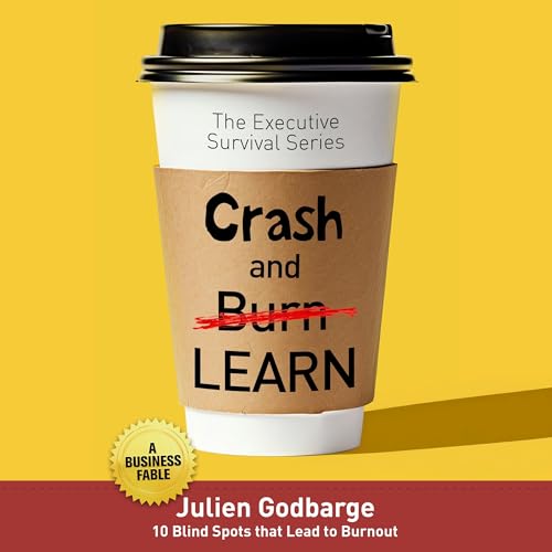 Crash and [Burn] LEARN by Julien Godbarge