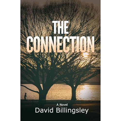The Connection by David Billingsley