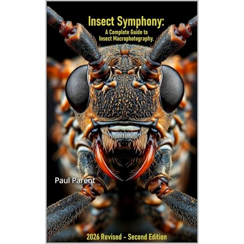 Insects Symphony: A complete Guide to Insect Macrophotography