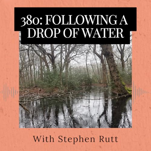 Episode 380: Following a Drop of Water by Unknown