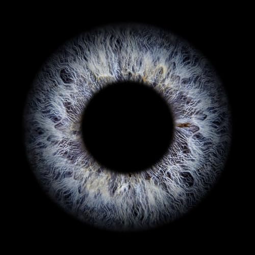 The Android v IOS debate in the Blind Community is Dumb! by Unknown