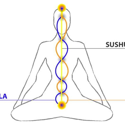¿Qué es Kundalini? by Unknown