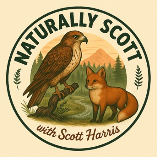 E55 Denver Holt — Snowy Owls, Field Research & 35 Years on the Arctic Tundra! 🦉❄️ by Unknown