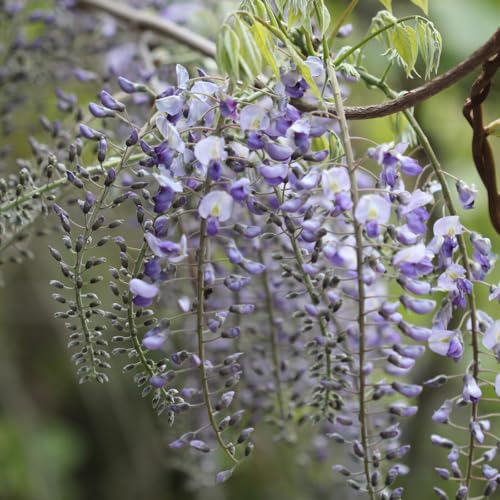 Faire Descendre Le Cortisol | Stress by Unknown