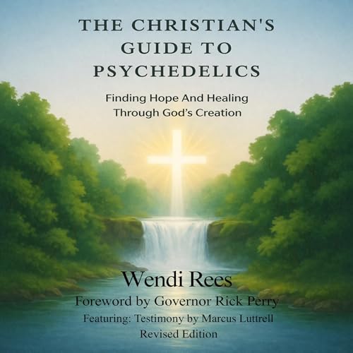 The Christian's Guide to Psychedelics by Wendi Rees